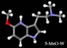 5-MeO-W molecule